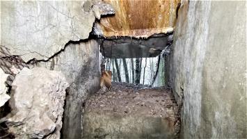 Ligne Maginot - HOCHWALD C6 - (Casemate d'infanterie - double) - créneau du projecteur