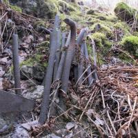Ligne Maginot - 3/2 - FORT LOUIS VILLAGE - (Casemate d'infanterie - Double) - 