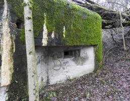 Ligne Maginot - HOLZMISS - (Blockhaus lourd type STG / STG-FCR - Simple) - Le créneaux pour mitrailleuse
