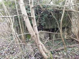 Ligne Maginot - MUEHLBACH 1 (Blockhaus pour arme infanterie) - 