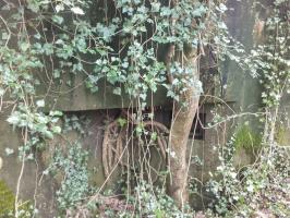 Ligne Maginot - MUEHLBACH 1 (Blockhaus pour arme infanterie) - 