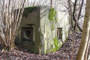 Ligne Maginot - RAMELSHAUSEN 1 (Blockhaus pour arme infanterie) - 
