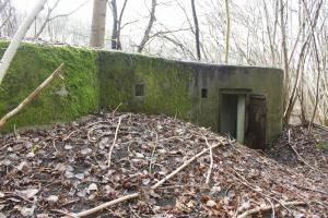 Ligne Maginot - RAMELSHAUSEN 1 (Blockhaus pour arme infanterie) - 