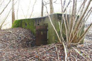 Ligne Maginot - RAMELSHAUSEN 1 (Blockhaus pour arme infanterie) - 