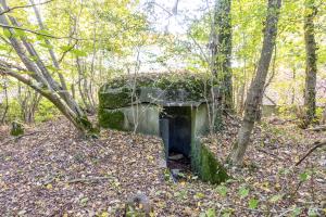 Ligne Maginot - RAMELSHAUSEN 2 - (Blockhaus pour arme infanterie) - 