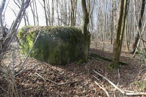 Ligne Maginot - RAMELSHAUSEN 4 (Blockhaus pour arme infanterie) - Vue générale