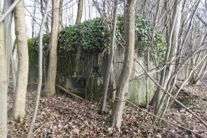 Ligne Maginot - RAMELSHAUSEN 4 (Blockhaus pour arme infanterie) - 