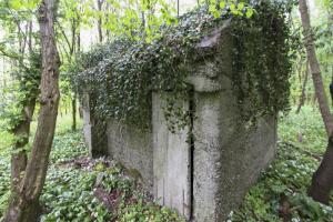 Ligne Maginot - RAMELSHAUSEN 5 (Abri) - Vue générale