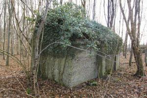Ligne Maginot - RAMELSHAUSEN 5 (Abri) - Vue générale