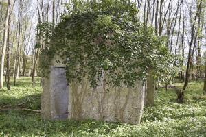 Ligne Maginot - RAMELSHAUSEN 5 (Abri) - Vue générale
