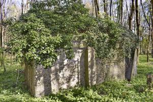 Ligne Maginot - RAMELSHAUSEN 5 (Abri) - Vue générale