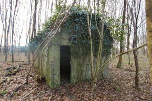 Ligne Maginot - RAMELSHAUSEN 5 (Abri) - Vue générale