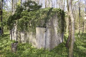 Ligne Maginot - RAMELSHAUSEN 5 (Abri) - Vue générale