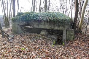 Ligne Maginot - Blockhaus de RAMELSHAUSEN 6 - Vue générale
