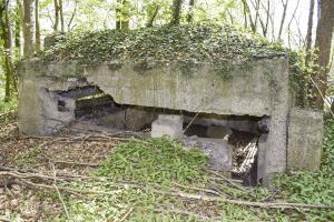 Ligne Maginot - Blockhaus de Ramelshausen 6 - Vue extérieure