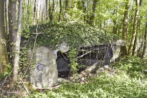 Ligne Maginot - Blockhaus de Ramelshausen 6 - Vue extérieure