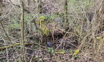 Ligne Maginot - ROUTE DE DALHUNDEN - (Blockhaus de type indéterminé) - 