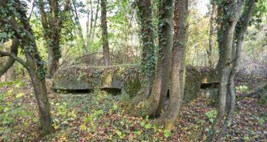 Ligne Maginot - SCHIRRHOFFEN 1 - (Blockhaus pour arme infanterie) - 