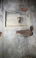 Ligne Maginot - 6 - SIEFFERTS KOEPFEL - (Blockhaus pour arme infanterie) - 