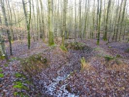 Ligne Maginot - PFAFFENBERG - (PC de Quartier) - Des tranchées