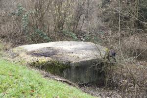 Ligne Maginot - 8 - WANTZENAU DIGUE 3 (Blockhaus pour arme infanterie) - 