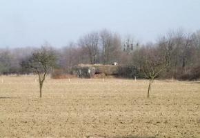 Ligne Maginot - 14/3 - OFFENDORF - (Casemate d'infanterie - Double) - 