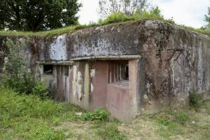 Ligne Maginot - 15/3 - MUEHLRHEIN (Casemate d'infanterie - double) - La casemate libérée de sa végétation