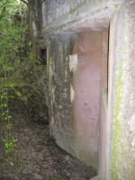 Ligne Maginot - Casemate d'infanterie de Muehlrhein - La casemate dans son inextricable végétation