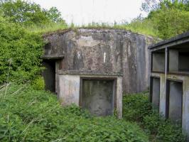 Ligne Maginot - 15/3 - MUEHLRHEIN (Casemate d'infanterie - double) - La casemate dans son inextricable végétation