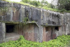 Ligne Maginot - 15/3 - MUEHLRHEIN (Casemate d'infanterie - double) - La casemate libérée de sa végétation