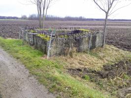 Ligne Maginot - STRAENGE - (Blockhaus pour canon) - 
