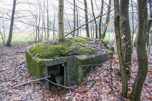Ligne Maginot - HOCHWALD Ouest 5 ( Blockhaus pour arme infanterie ) - 