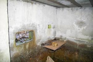 Ligne Maginot - HOCHWALD Ouest 5 ( Blockhaus pour arme infanterie ) - 