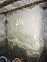 Ligne Maginot - HOCHWALD OUEST 5 - (Blockhaus pour arme infanterie) - Marquage '231'