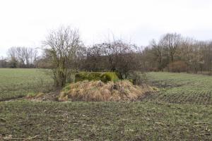 Ligne Maginot - BANGWOG NORD - (Blockhaus pour arme infanterie) - 