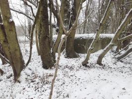 Ligne Maginot - BANGWOG Sud 2 (Blockhaus pour arme infanterie) - 