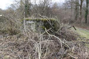 Ligne Maginot - BARRWALD Ouest (Blockhaus pour arme infanterie) - 