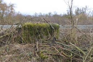 Ligne Maginot - BARRWALD Ouest (Blockhaus pour arme infanterie) - 