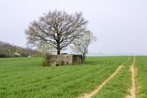 Ligne Maginot - CB259 - STRESSLING 3 - (Blockhaus pour arme infanterie) - 