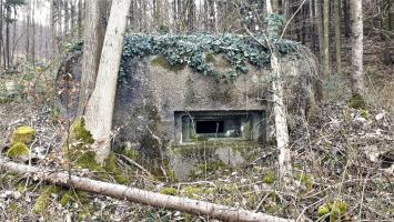 Ligne Maginot - PFAFFENBRONN 3 - (Blockhaus pour arme infanterie) - Le créneau pour mitrailleuse
