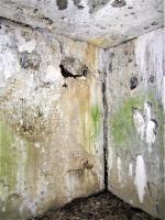 Ligne Maginot - PFAFFENBRONN 3 - (Blockhaus pour arme infanterie) - Support de ventilation (à gauche) et goulotte à grenades (à droite)