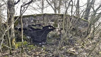 Ligne Maginot - SCHMELZBACH 7 - (Blockhaus pour arme infanterie) - Entrée