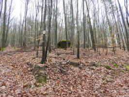 Ligne Maginot - PFAFFENBRONN 2 - (Blockhaus pour arme infanterie) - Le bloc vu depuis le chemin forestier