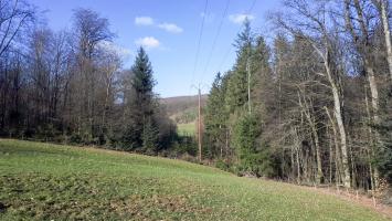 Ligne Maginot - SCHMELZBACH EST - (Casemate d'infanterie - double) - Le déboisage du champ de tir coté Ouest est encore visible (passage d'une ligne électrique)