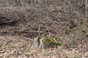Ligne Maginot - GUSTAVE 2 - (Position d'artillerie préparée) - Abri entièrement effondré, avec les reste de la cheminée ou l'aération, les tôles ont disparu