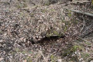 Ligne Maginot - GUSTAVE 2 - (Position d'artillerie préparée) - Abri comblé