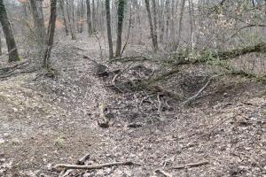 Ligne Maginot - GUSTAVE 2 - (Position d'artillerie préparée) - Alvéole de tir
