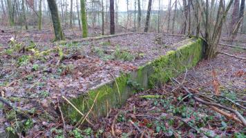 Ligne Maginot - BOIS DE GRAND-FAILLY (41° DI PUIS 3° DINA PUIS 132° RIF) - (PC de Sous-Secteur) - Restes de soubassements de baraques