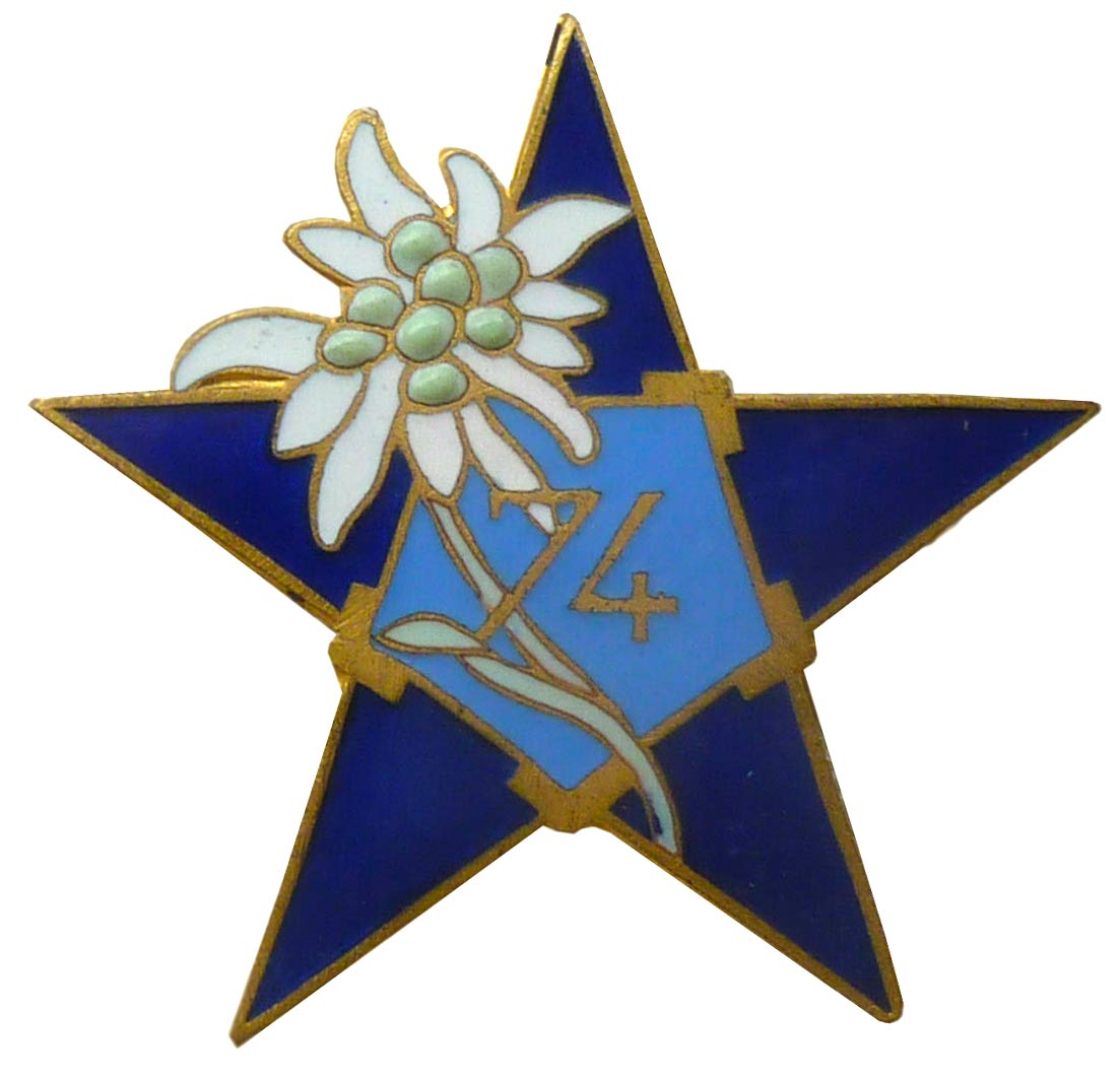 Insigne de la SES du 74° BAF