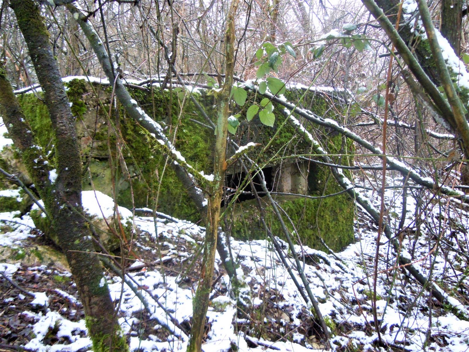 Ligne Maginot - DORFBRUNNEN NORD - (Blockhaus pour arme infanterie) -  - Jean-Marie Bach